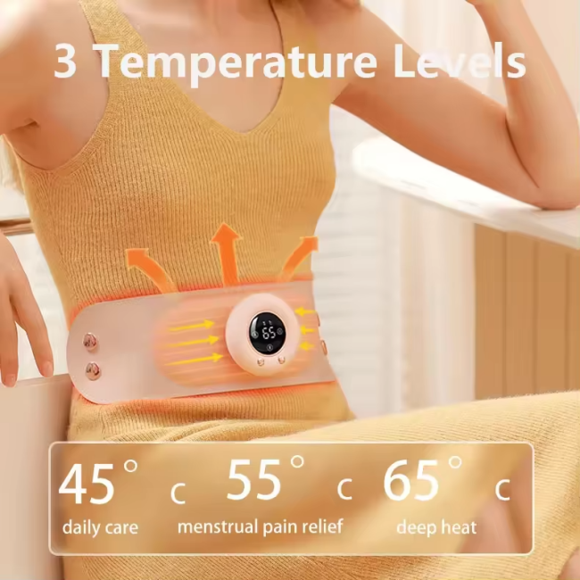 Smart Heating Waist Massager