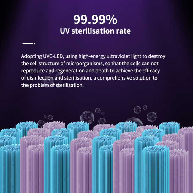 Toothbrush Sanitizers