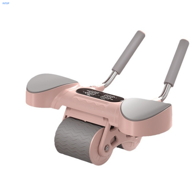 Ab Roller Wheels