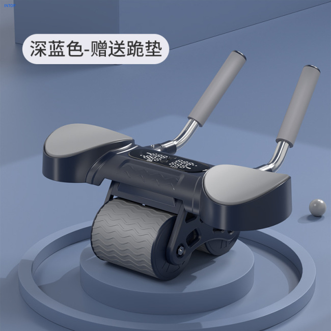 Ab Roller Wheels