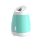 Facial Steamer