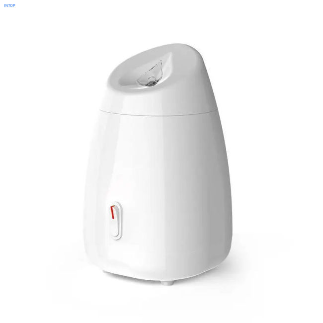 Facial Steamer