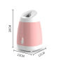 Facial Steamer