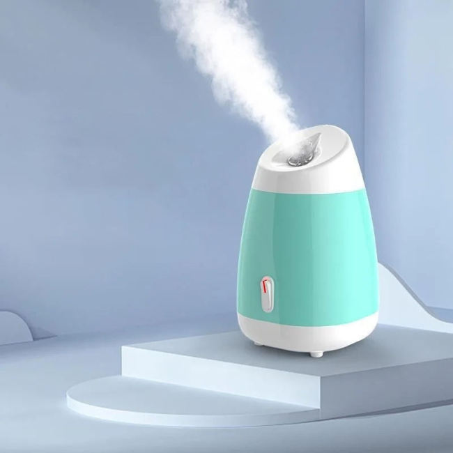 Facial Steamer