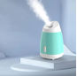 Facial Steamer
