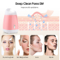 Facial Steamer