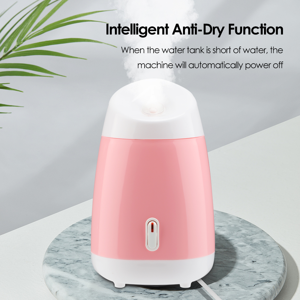 Facial Steamer