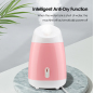 Facial Steamer