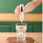 Milk Frother 