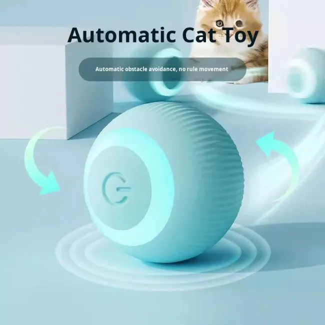 cat Friendly Toy