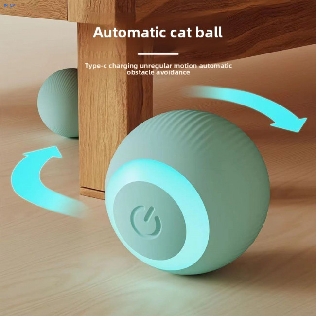cat Friendly Toy