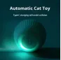 cat Friendly Toy