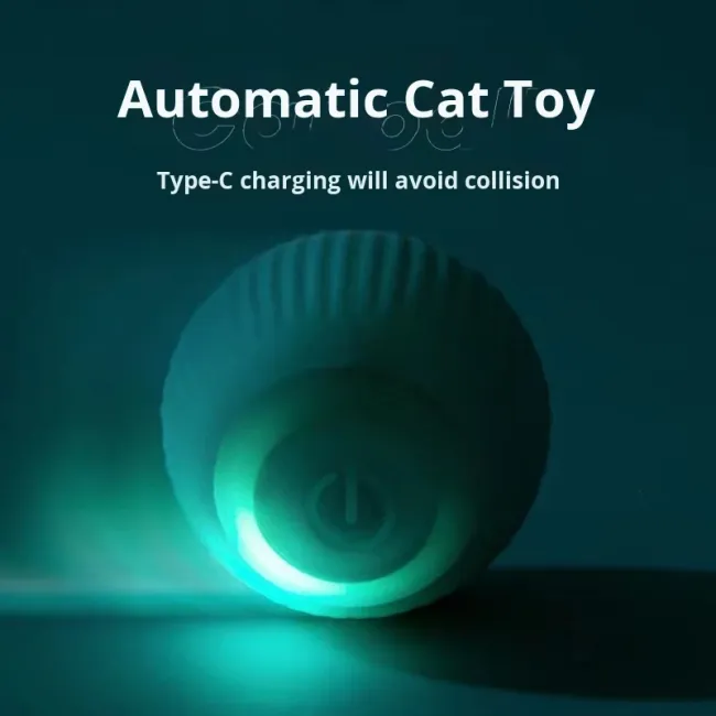 cat Friendly Toy