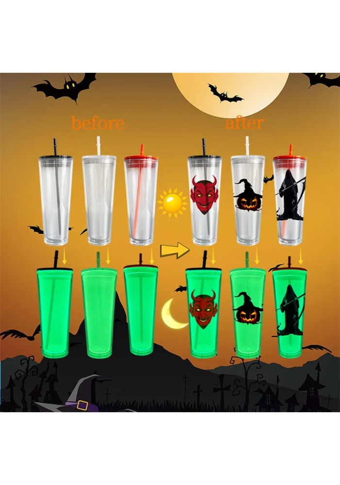  Double Wall Plastic Clear Reusable Cups 