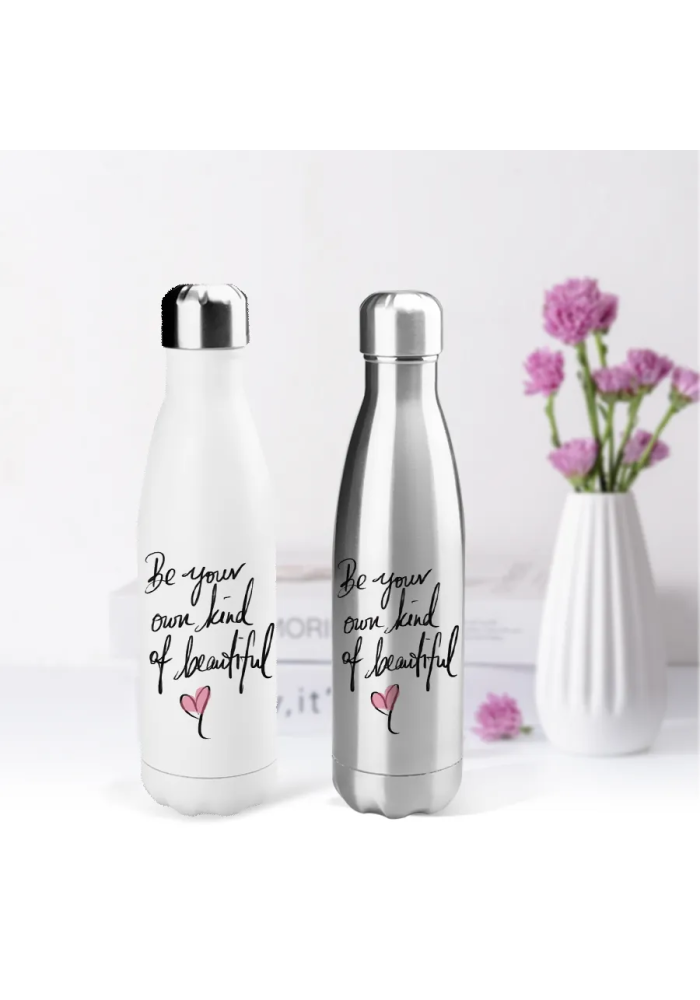 Stainless Steel Water Bottle