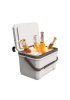 6L Capacity PU Material Insulated Cooler Box