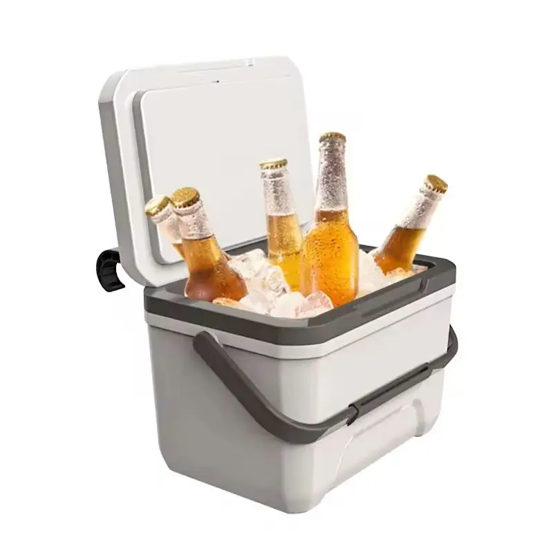 6L Capacity PU Material Insulated Cooler Box