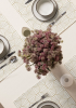 Modern Waterproof Table Placemats