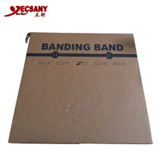 SS304 Stainless Steel Strapping Band