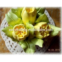 Russische Tulpen-Edelstahl-Spritzdüsen für Gebäck, zum Dekorieren von Tipps, Kuchen, Cupcake-Dekoration