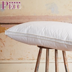 Washed Breathable  Different Shapes Of Personalized Bed Pillows