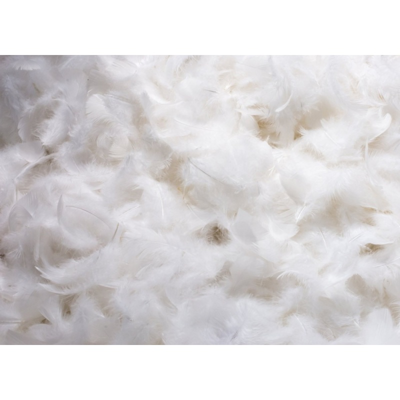 Edredón de plumas al por mayor acolchado Edredón de exportación de edredón de China Edredón de plumas al por mayor acolchado Edredón de exportación de edredón de China