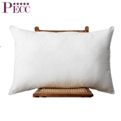 Trade Assurance Supplier European Size Perfect Manufacturer Pillow