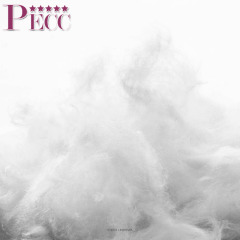 Washed Breathable  Different Shapes Of Personalized Bed Pillows