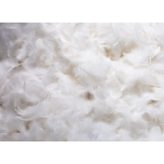 Wholesale Feather Sleeping Pillow Inserts For Hotel And Home Use