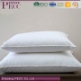 Venta caliente Algodón King Size 75 Almohada de plumón de ganso blanco Venta caliente Algodón King Size 75 Almohada de plumón de ganso blanco