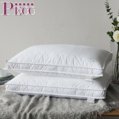 Wholesale Silk Filled Pillows Washable On Sale