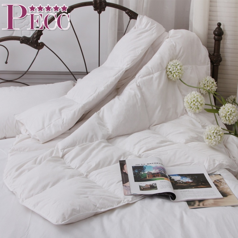 Accueil Nature Quilts Couette en soie chinoise Doudous de luxe doux