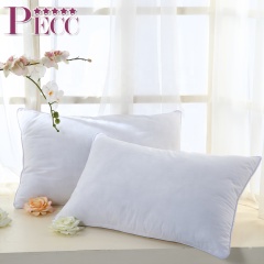 Wholesale Silk Filled Pillows Washable On Sale