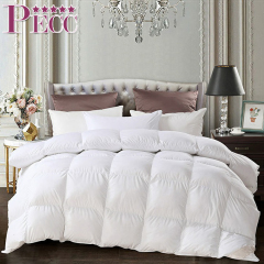 China Luxury Cotton Fabric With Wool Filling Comforter