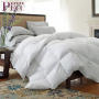 Couette Queen Size en duvet d'oie/plumes de haute qualité 10.5 Tog