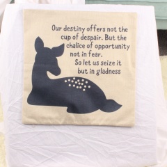 Wholesale Personalised Sofa Cushion Covers Home Decor