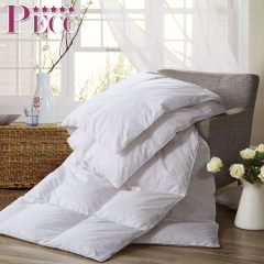 Wholesale Latest New Design 50 Duck Down Quilt Hot Sale Duvet Insert