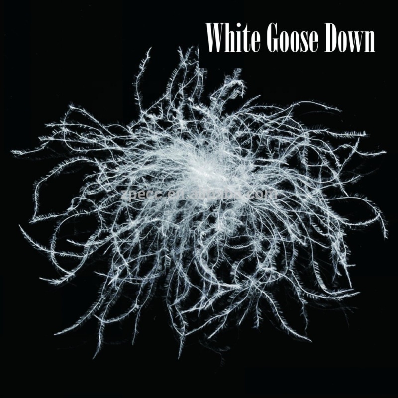 格安ホットセールグースフェザー＆ダウンスタンダードピローミディアム