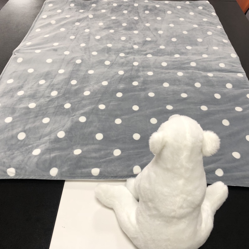 Minky Printed 5lbs Glass Beads Manta ponderada para niños Minky Printed 5lbs Glass Beads Manta ponderada para niños