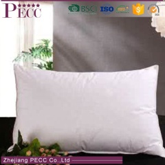 Hot Sale Pure Duck Down Pillow Insert 20x20