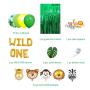 Summer Party Supply Green Animal Wild Decoration Children Party Gifts set Summer Party Supply Green Animal Wild Decoration Children Party Gifts set