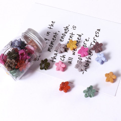 Amazon hot sale 20pcs candy colors woman baby kids mini hair claws for girls
