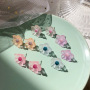 Spring and summer girl simple transparent acrylic ins flower stud earring Spring and summer girl simple transparent acrylic ins flower stud earring