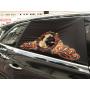 high quality safety peekapet peek a dog pet net car sunshade window sleeve cover