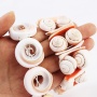 2020 new amazon ins fashion girls white handmade sea trumpet conch shell bracelets sea shell for women