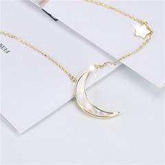 fashion girl women fancy gold plated round chain jewelry14K gold natural shell necklace