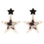 Winter fashion women geometric leopard earring accessories star plush earrings Winter fashion women geometric leopard earring accessories star plush earrings