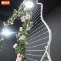 LED light iron metal wedding petals event decoration stage background centerpieces set