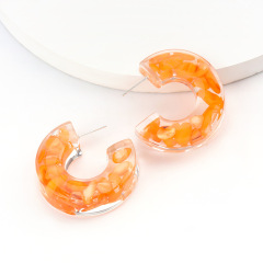 2020 ins hot fashion jewelry stunning C-shaped cylindrical acetate earrings