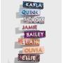 2020 new design fashion custom wholesale letter acetate word hair clips for women